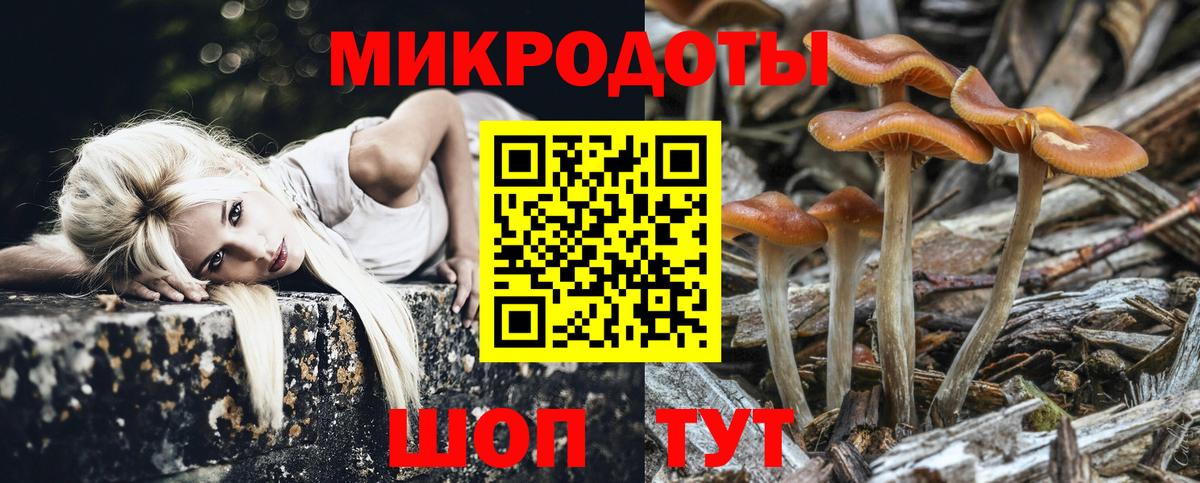 Псилоцибиновые грибы MAGIC MUSHROOMS Бор